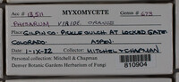 Image Associated With the Occurence